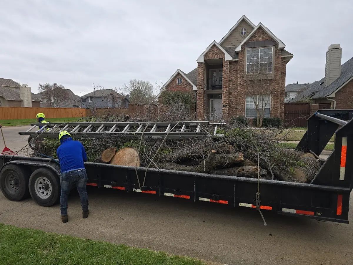 Expert Tree Fertilization with proper safety equipment in Farmington